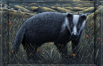Picture of a badger by P J Crooks
