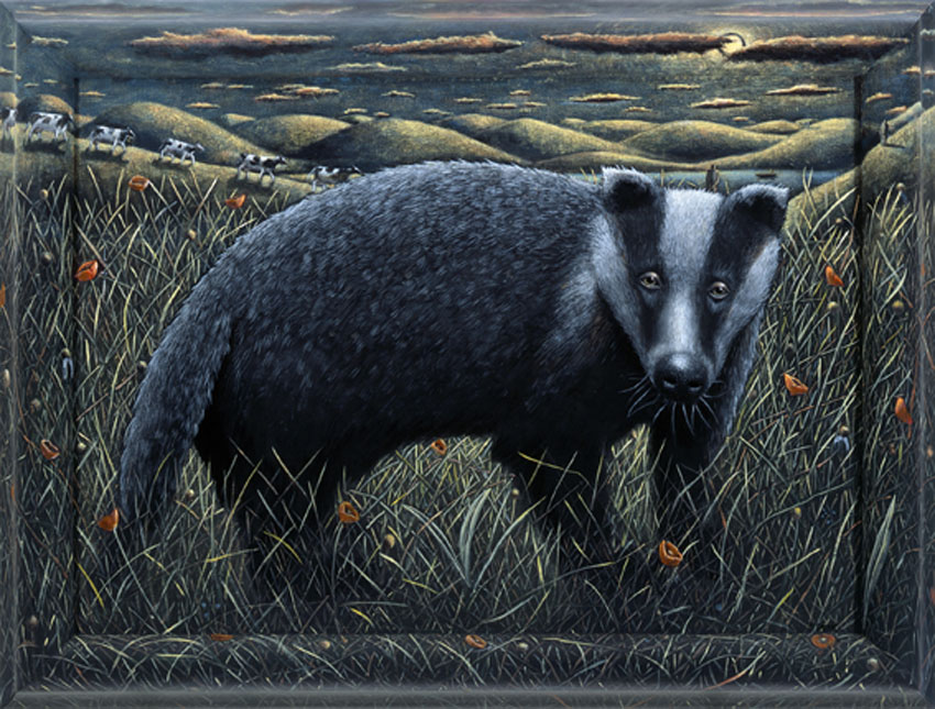 Picture of a badger by P J Crooks