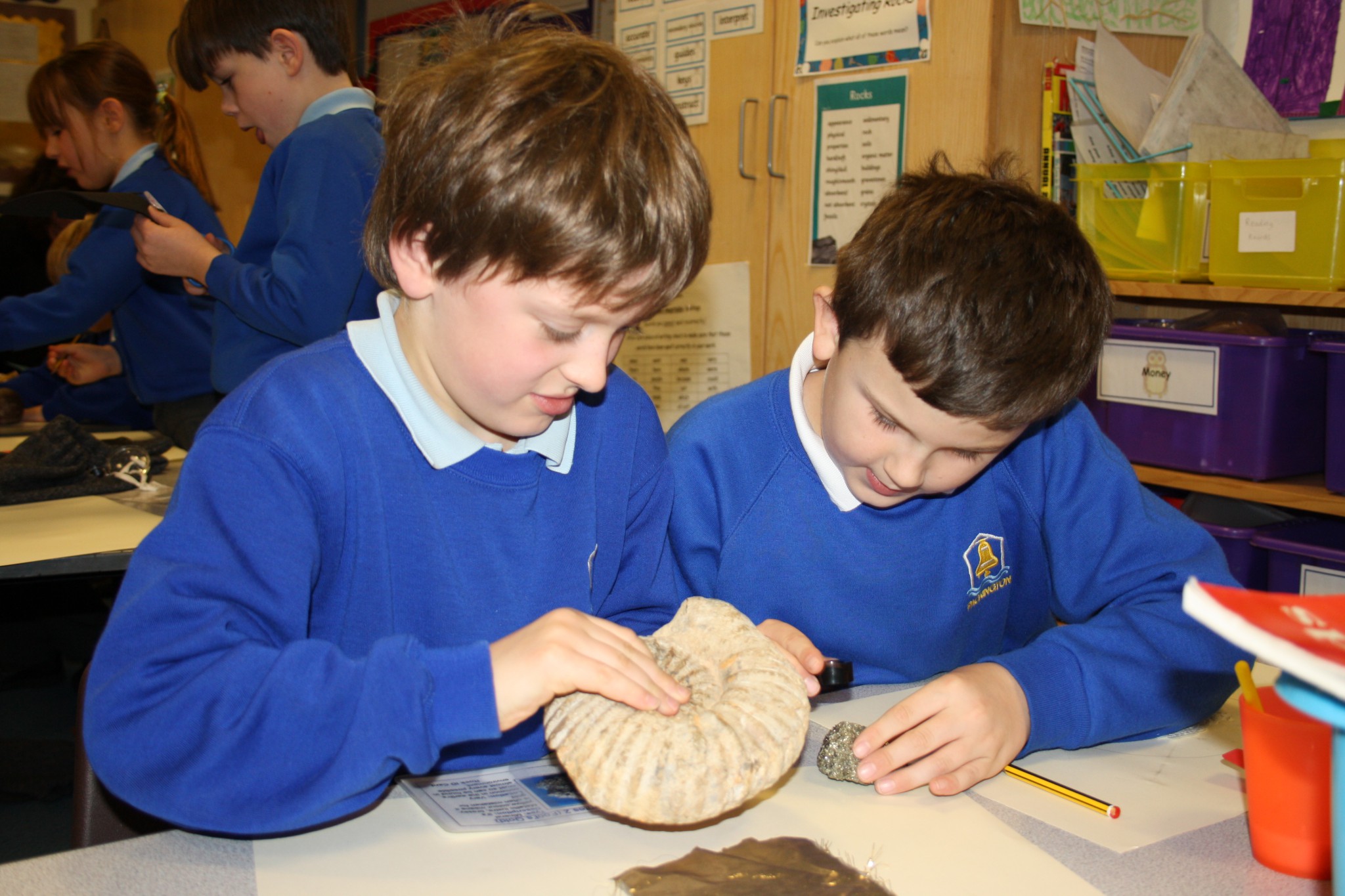 Photo of children looking at fossils