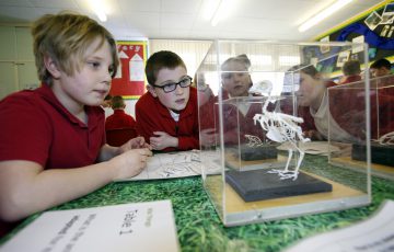 Photo of children looking at a bird skeleton