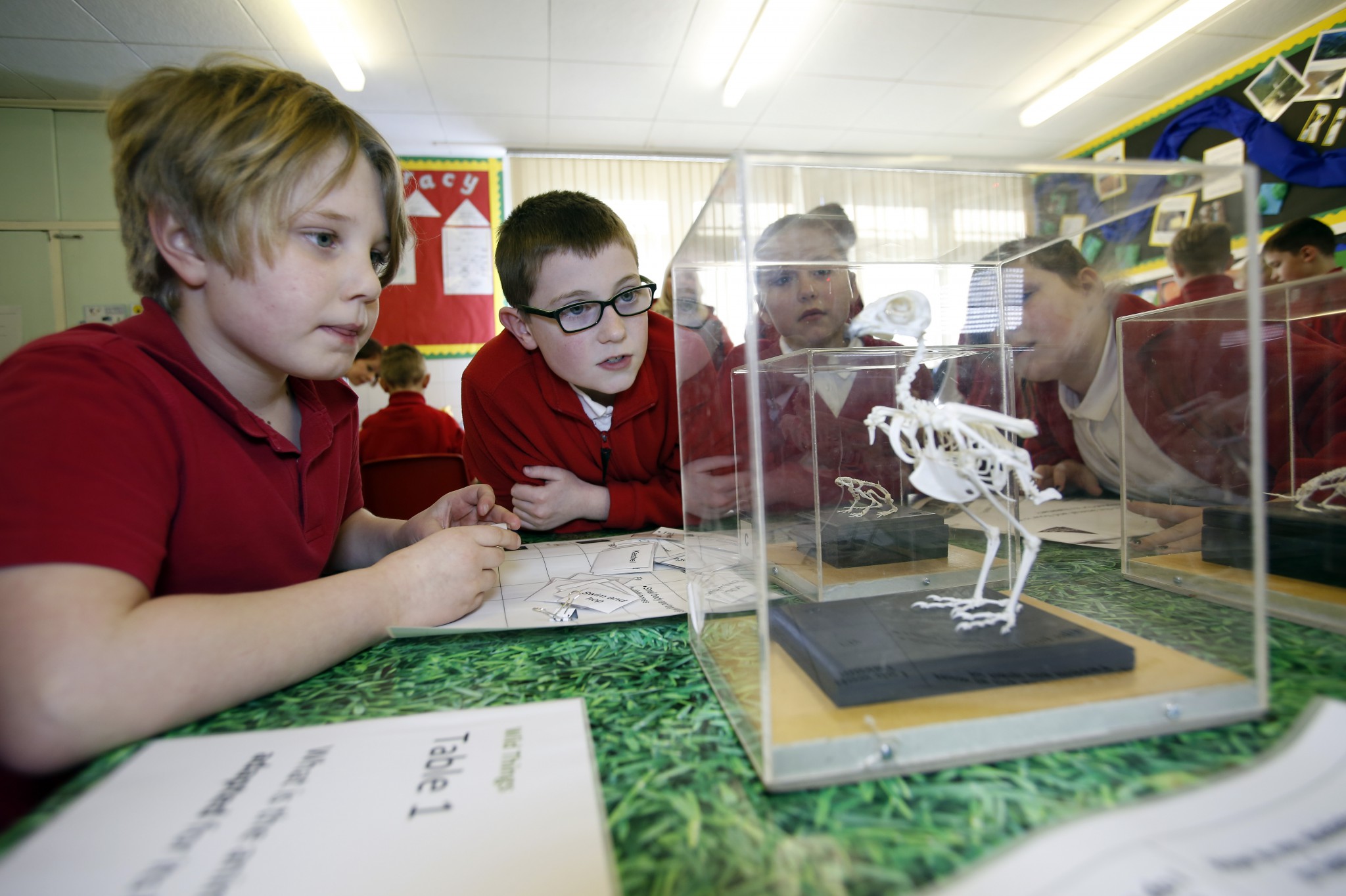 Photo of children looking at a bird skeleton