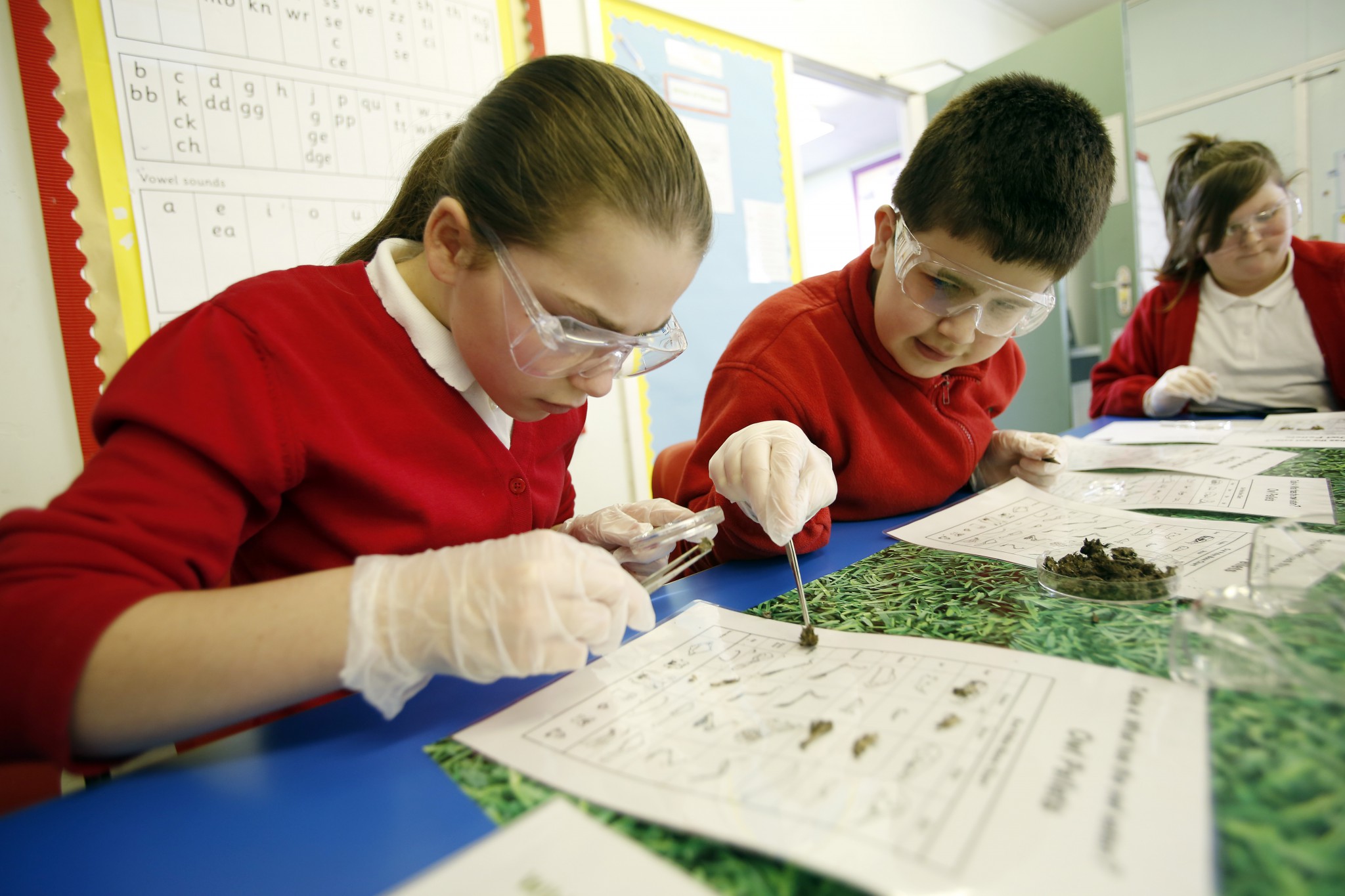 Photo of children working with owl pellets