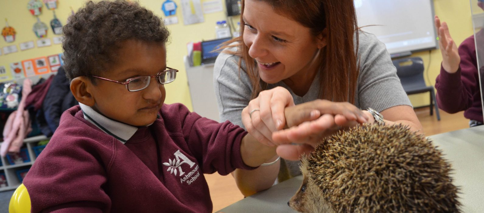 Boy and hedgehog