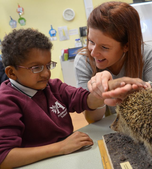 Boy and hedgehog