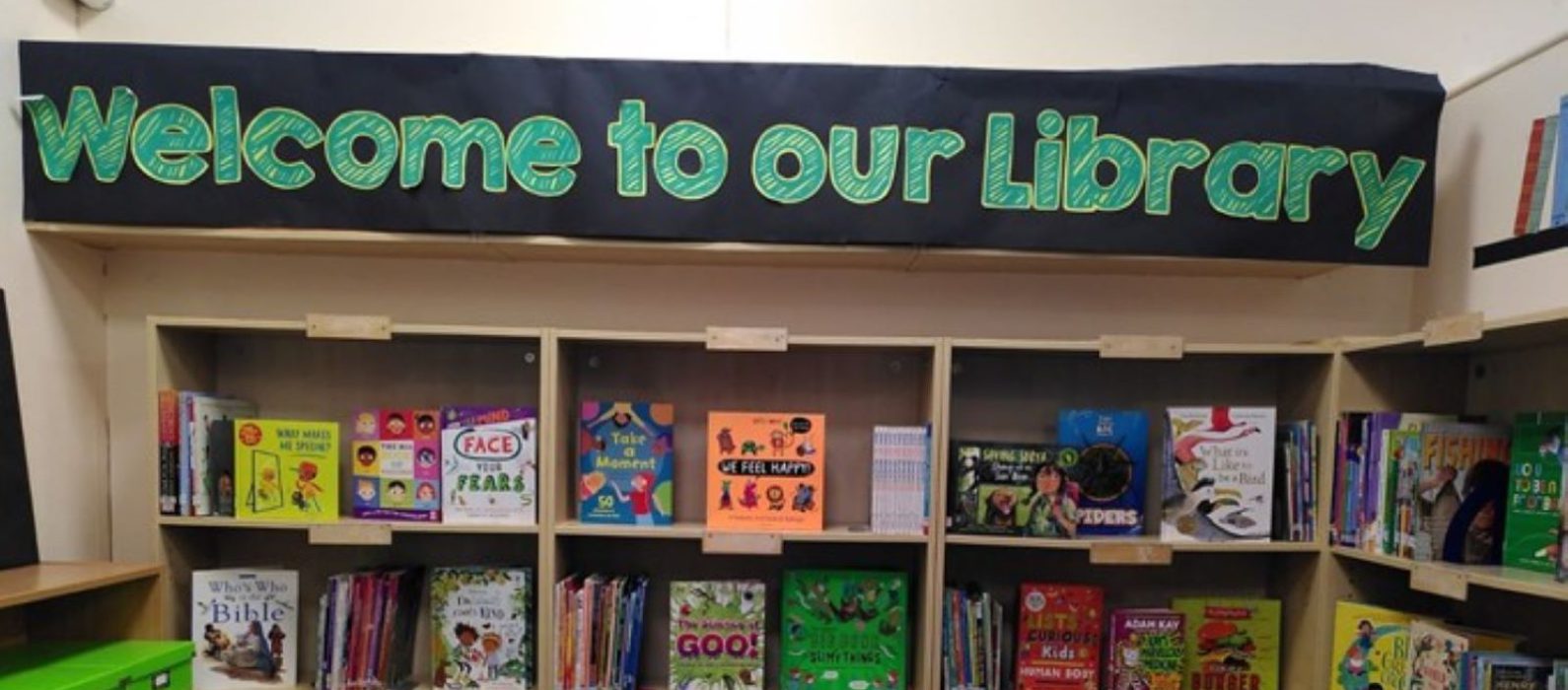 Photo of library shelves