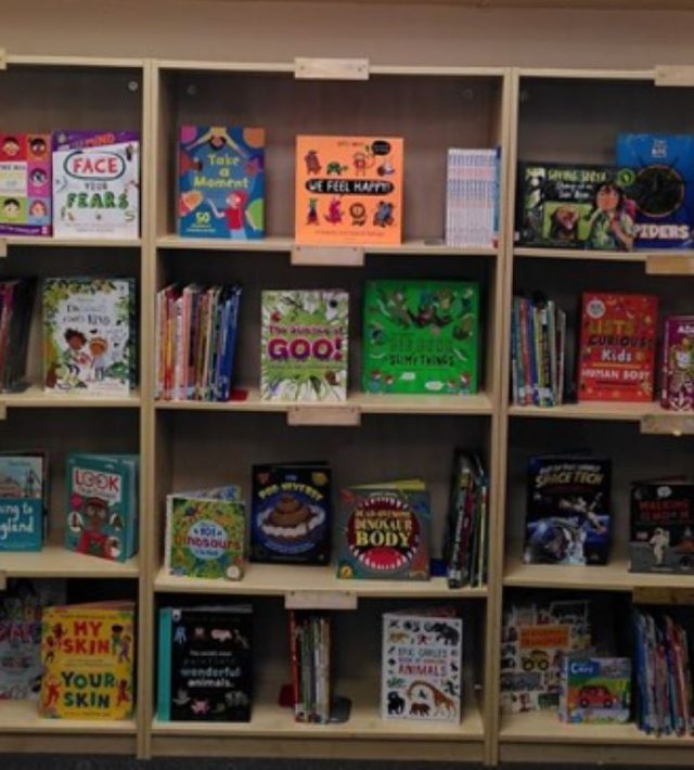 Photo of library shelves