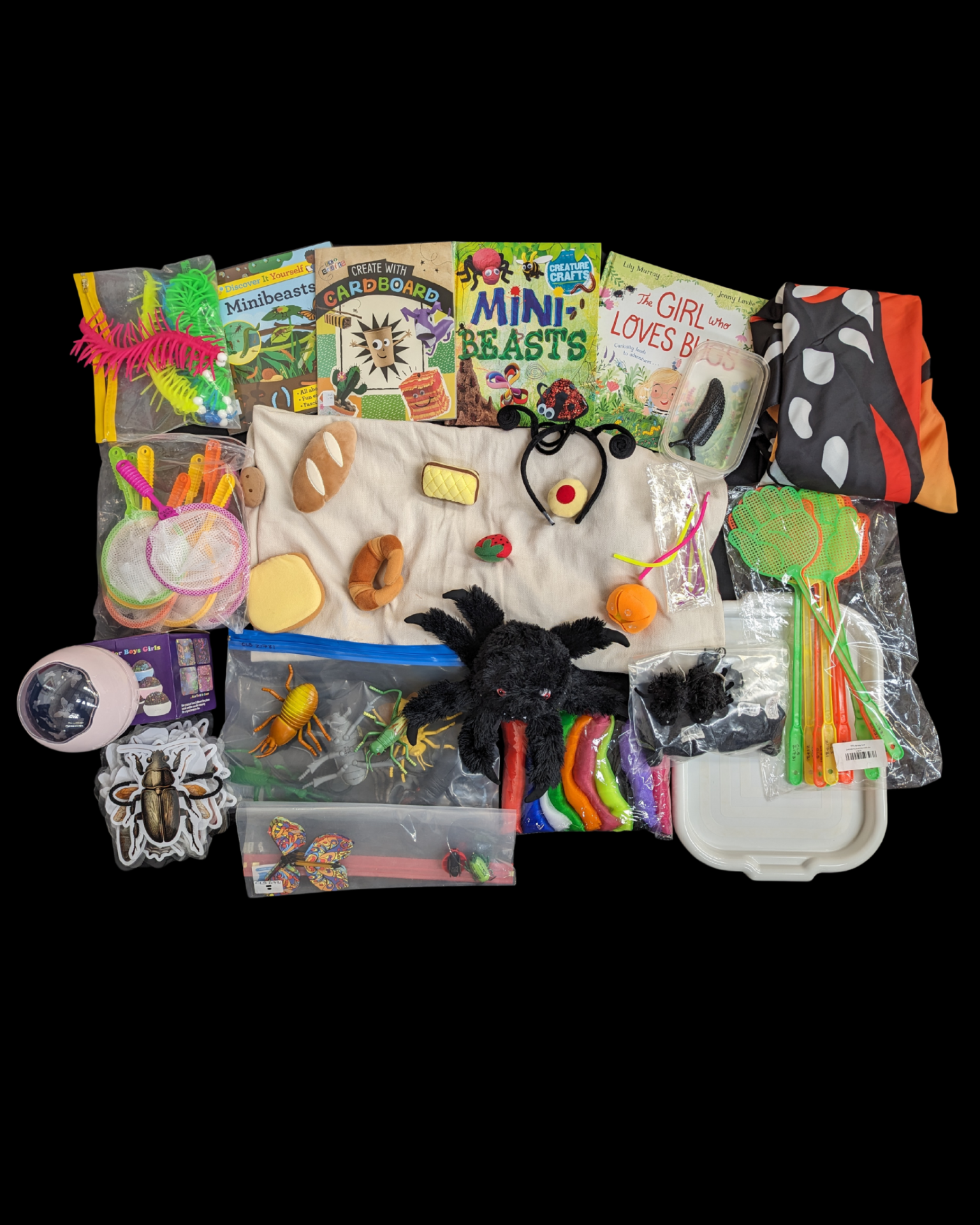 Minibeasts sensory stories and toys
