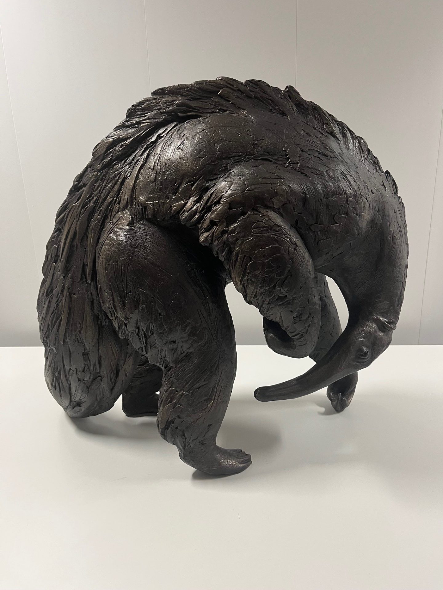 Image of anteater sculpture
