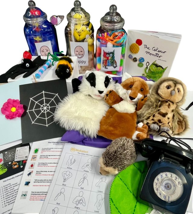 Collection of books, toys and artefacts