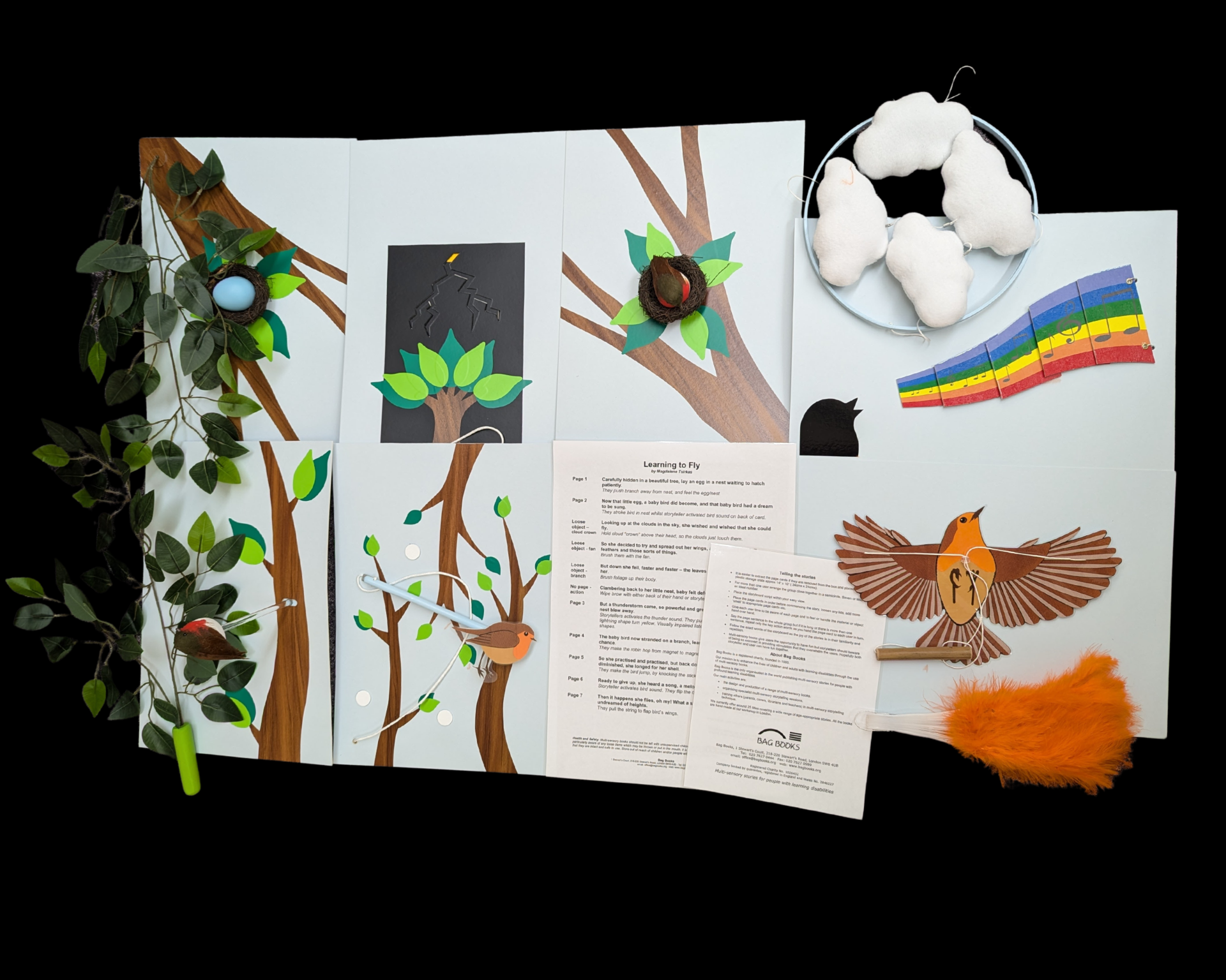 Image of a story about birds learning to fly
