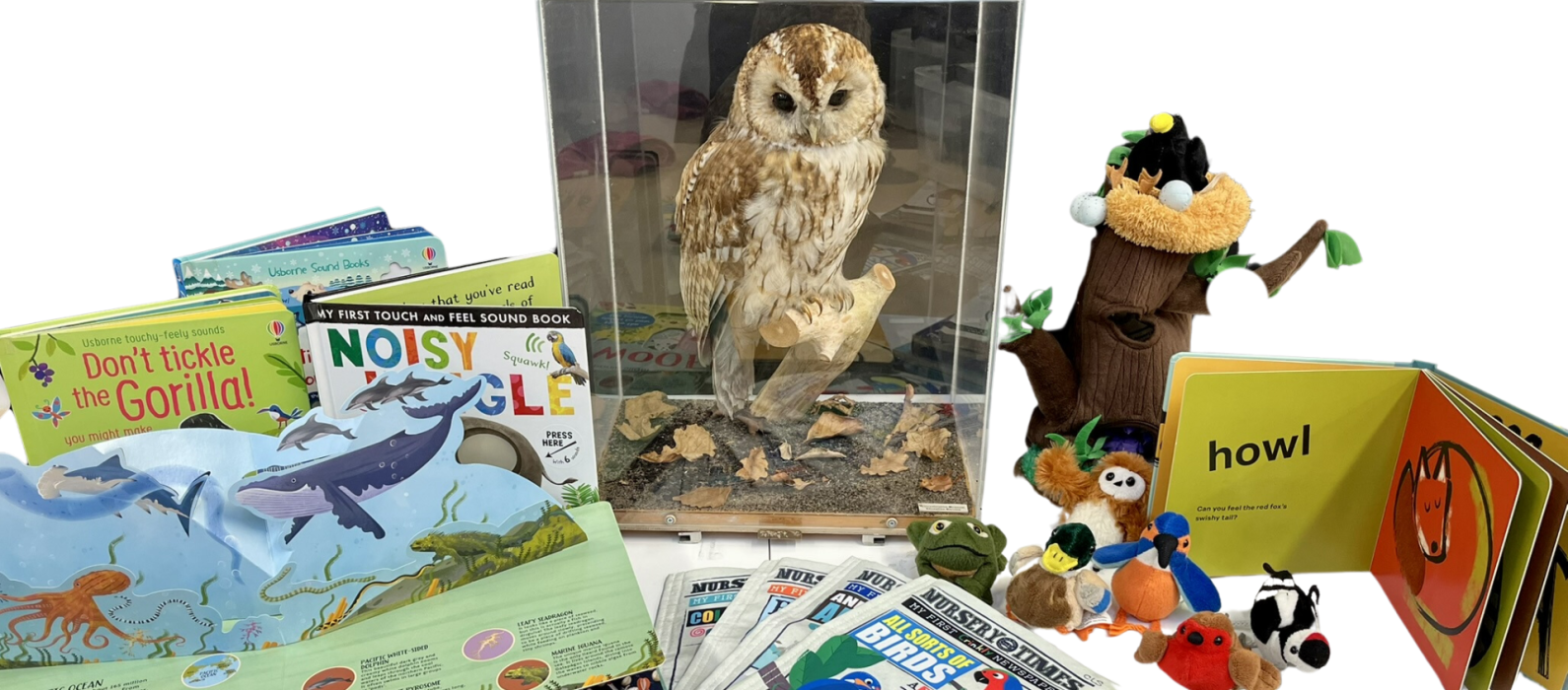 Collection of books, toys and a taxidermy owl