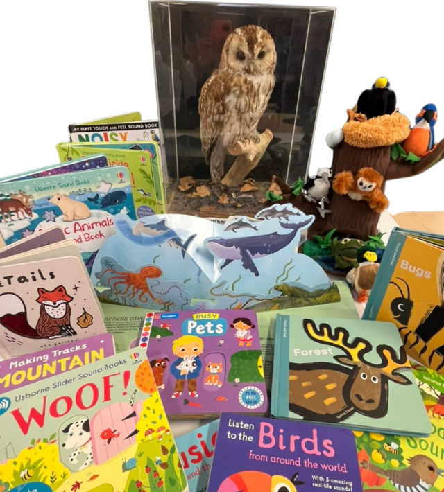 Collection of books, toys and a taxidermy owl