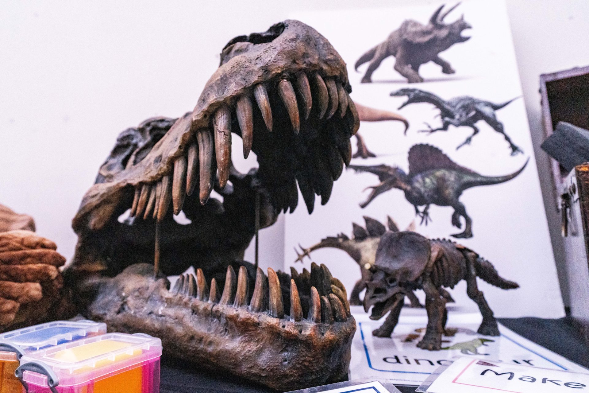 Replica dinosaurs