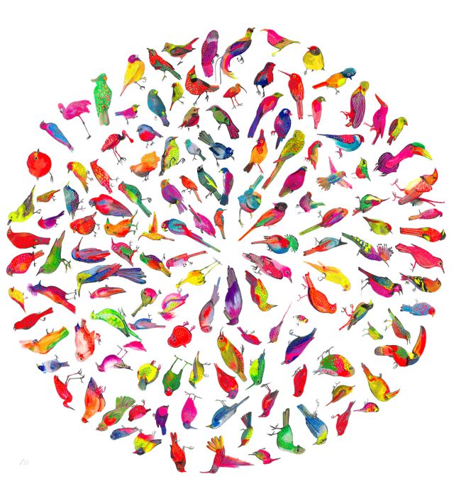 Birds artwork by Jim Moir