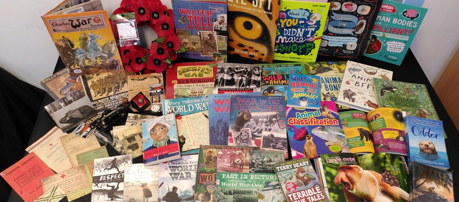 Collection of books and artefacts